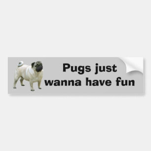 Bumpersticker