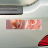 Bumpersticker (Op auto)