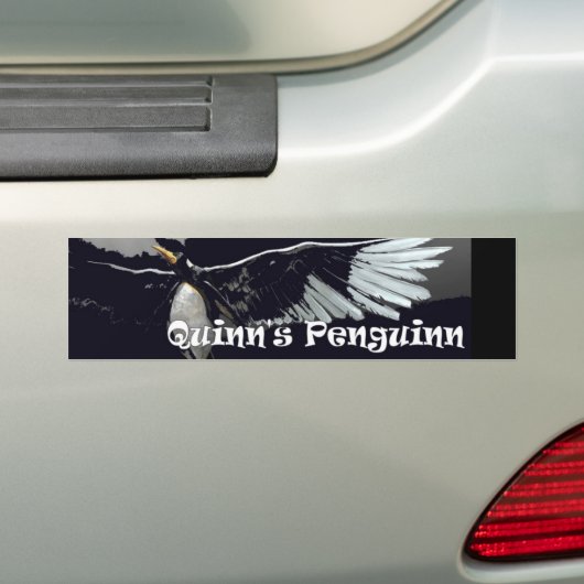 Bumpersticker 11 x 3 inch (Op auto)