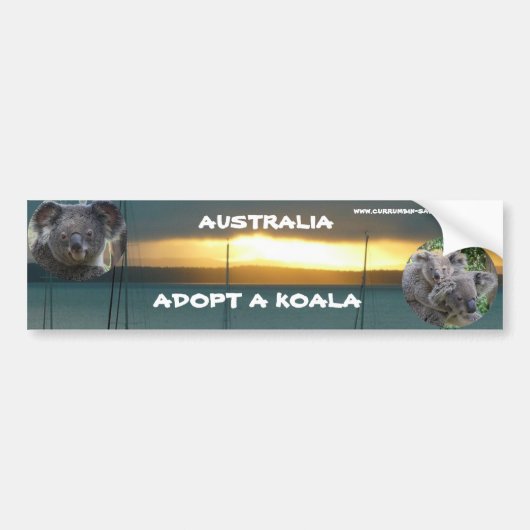 Bumpersticker ADOPTEER EEN KOALA AUSTRALIË (Voorkant)