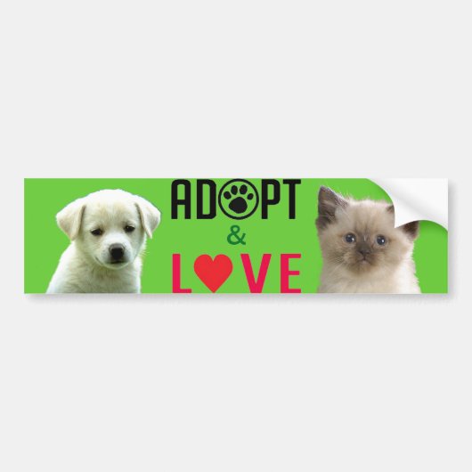 Bumpersticker adopteren en houden van liefde (Voorkant)