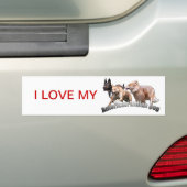 bumpersticker aidog (Op auto)