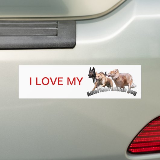 bumpersticker aidog (Op auto)
