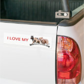 bumpersticker aidog (Op Truck)