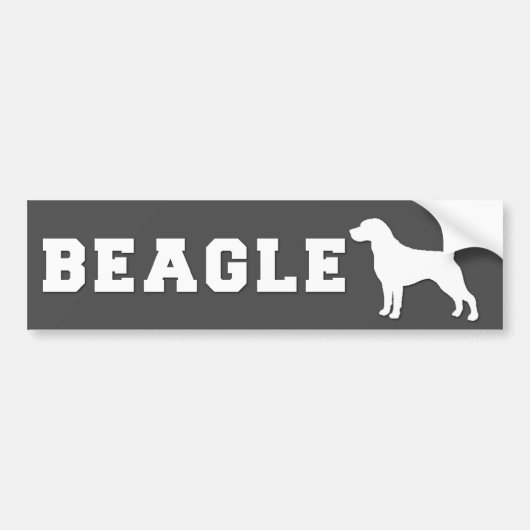 Bumpersticker Beagle - Grijs (Voorkant)