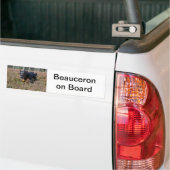 bumpersticker beauceron (Op Truck)