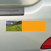 Bumpersticker / bedreigde Hawaiiaanse Nene Geese (Op auto)