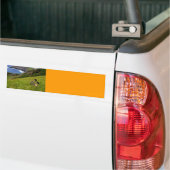 Bumpersticker / bedreigde Hawaiiaanse Nene Geese (Op Truck)