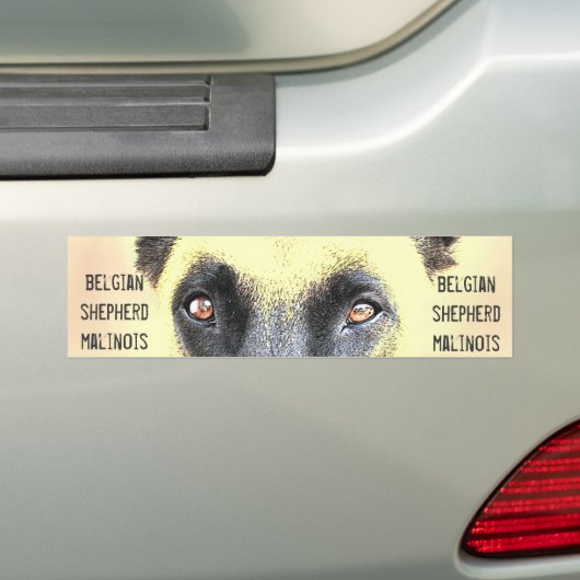 Bumpersticker belgisch herder malinois (Op auto)