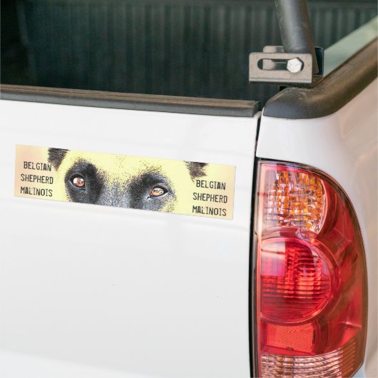 Bumpersticker belgisch herder malinois (Op Truck)