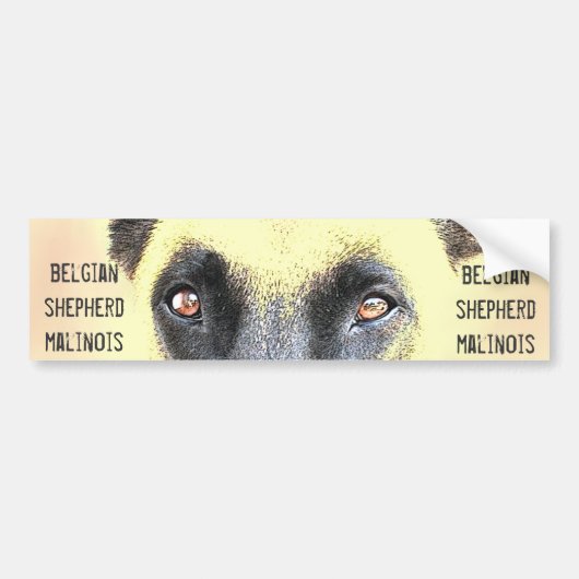Bumpersticker belgisch herder malinois (Voorkant)