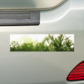 Bumpersticker "Bind het bos in" (Op auto)