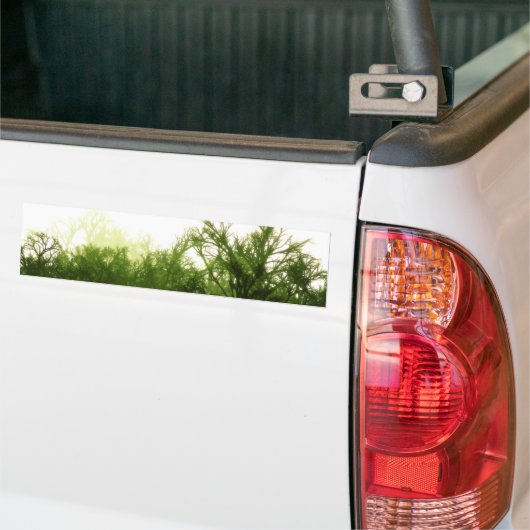Bumpersticker "Bind het bos in" (Op Truck)