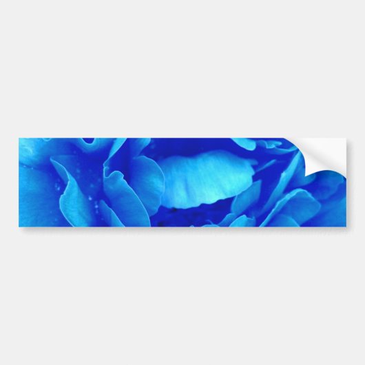 Bumpersticker blauw Roos -  (Voorkant)