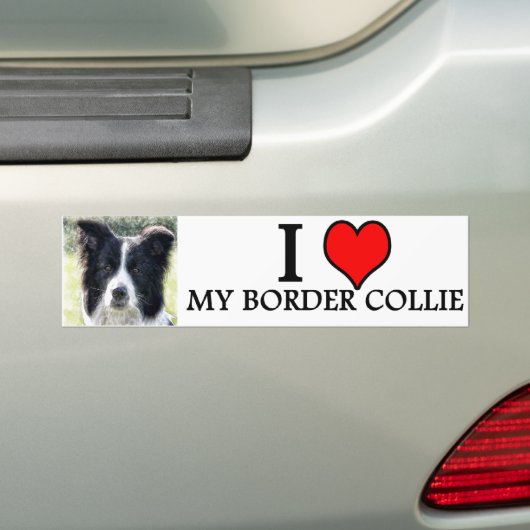 bumpersticker border collie (Op auto)