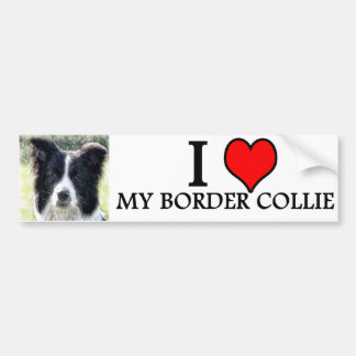 bumpersticker border collie