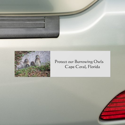 Bumpersticker brandende eigendom beschermen (Op auto)