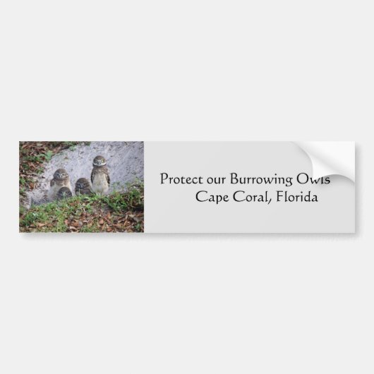 Bumpersticker brandende eigendom beschermen (Voorkant)