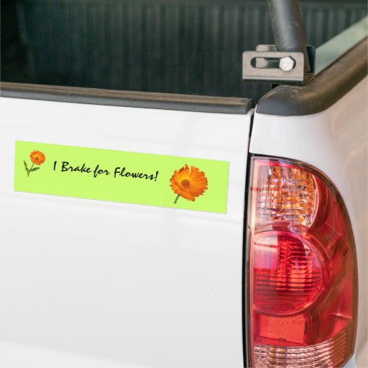 Bumpersticker - Calendula op stam (Op Truck)