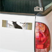 Bumpersticker, Calico Cat Bumpersticker (Op Truck)