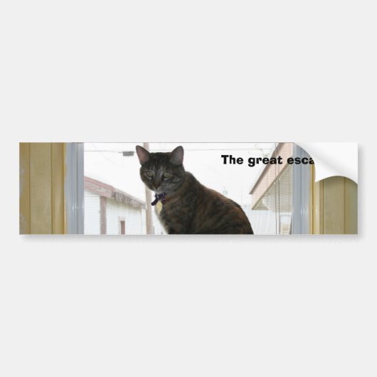 Bumpersticker, Calico Cat Bumpersticker (Voorkant)