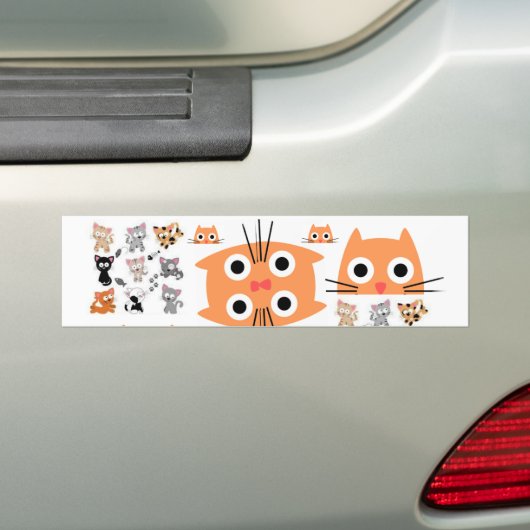 Bumpersticker Cat Kittens (Op auto)