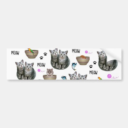 Bumpersticker Cat Kittens Meow (Voorkant)