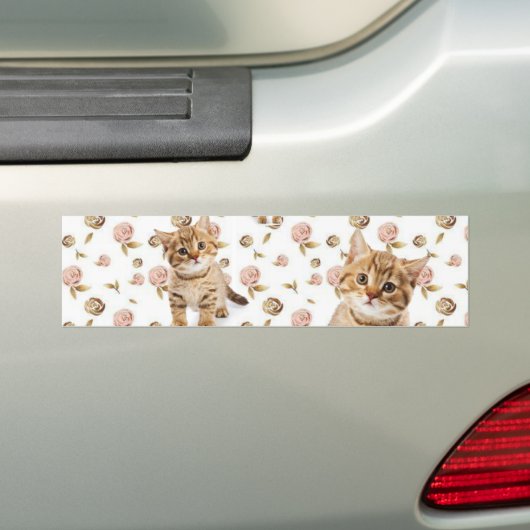 Bumpersticker Cat Kittens Meow (Op auto)