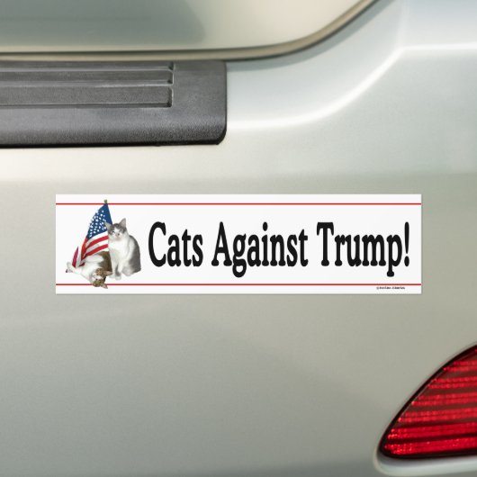 Bumpersticker "Cats against Trump" (Op auto)