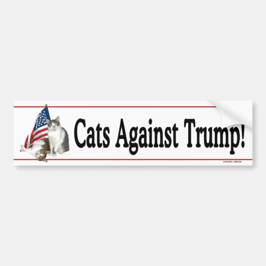 Bumpersticker "Cats against Trump" (Voorkant)