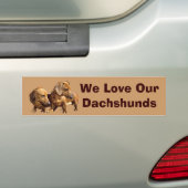 Bumpersticker Dachshund Smoothies (Op auto)