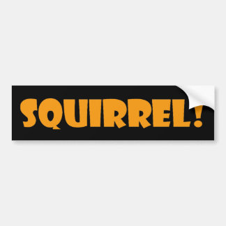 Bumpersticker eekhoorn