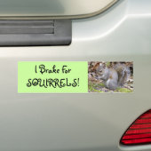 Bumpersticker eekhoorn (Op auto)