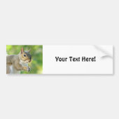 Bumpersticker eekhoorn (Voorkant)