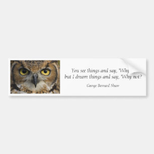 Bumpersticker - Eigenaar van Ogen met prijsopgave