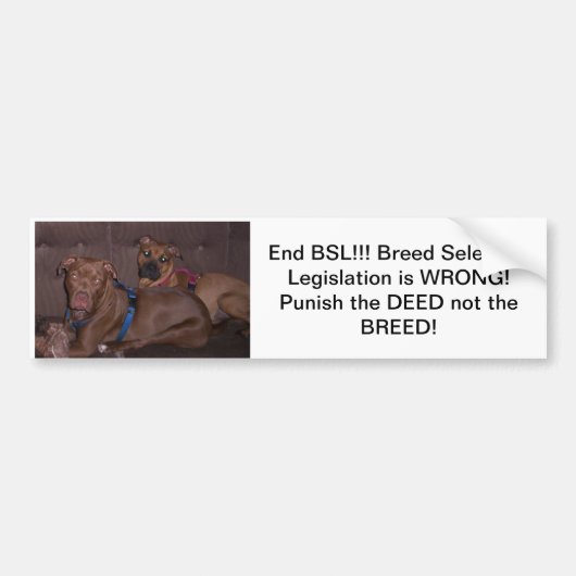 Bumpersticker end BSL (Voorkant)
