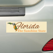 Bumpersticker - FLORIDA (Op auto)