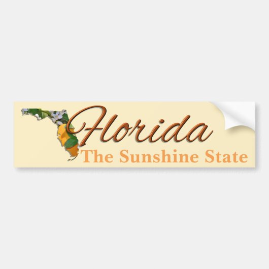 Bumpersticker - FLORIDA (Voorkant)