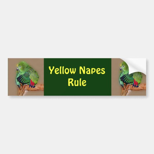 Bumpersticker Geel Naped Amazons Rule (Voorkant)