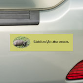 Bumpersticker, Gopher Tortoise Bumpersticker (Op auto)