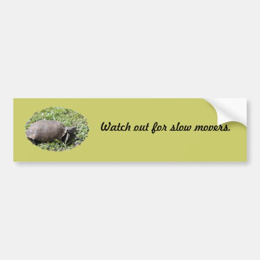 Bumpersticker, Gopher Tortoise Bumpersticker (Voorkant)