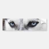 Bumpersticker HUSKY (Voorkant)
