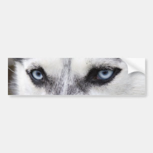 Bumpersticker HUSKY