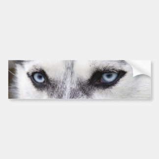 Bumpersticker HUSKY