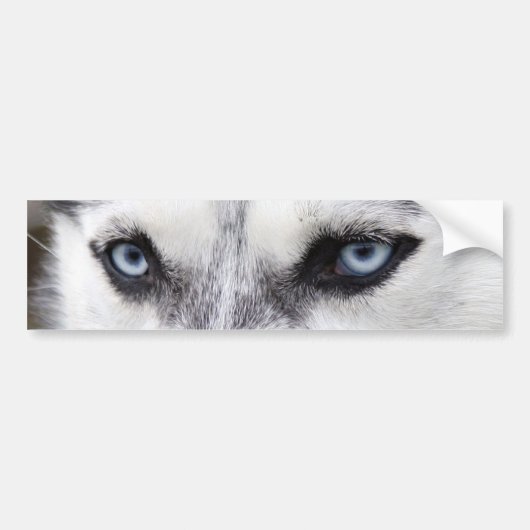 Bumpersticker HUSKY (Voorkant)
