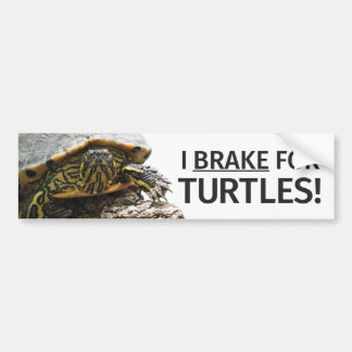 Bumpersticker "I Brake for Turtles"