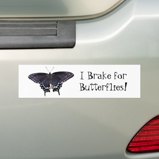 Bumpersticker I Rem voor Butterflies Swallowtail (Op auto)