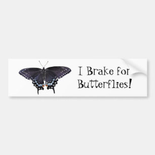 Bumpersticker I Rem voor Butterflies Swallowtail
