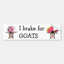 Bumpersticker - I Rem voor GEITEN