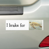 Bumpersticker - I rem voor zeeen schildpadden (Op auto)